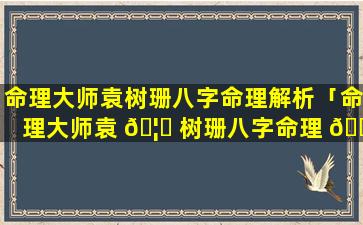 命理大师袁树珊八字命理解析「命理大师袁 🦅 树珊八字命理 💮 解析大全」